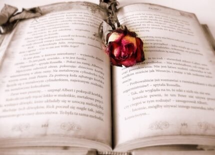 book, rose, book mark, rose flower, open book, pages, chapter, novel, read, literature, reading, bookworm